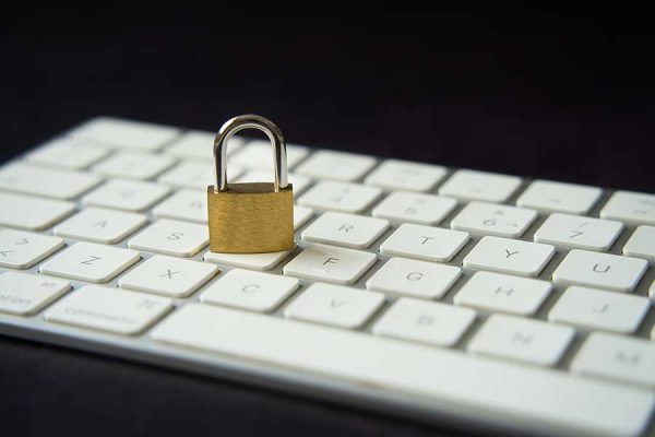 basic website care