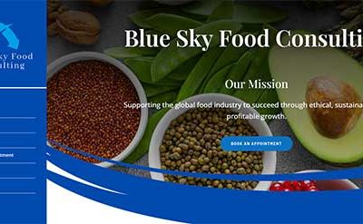 Web Design Case Study: Blue Sky Food Consulting