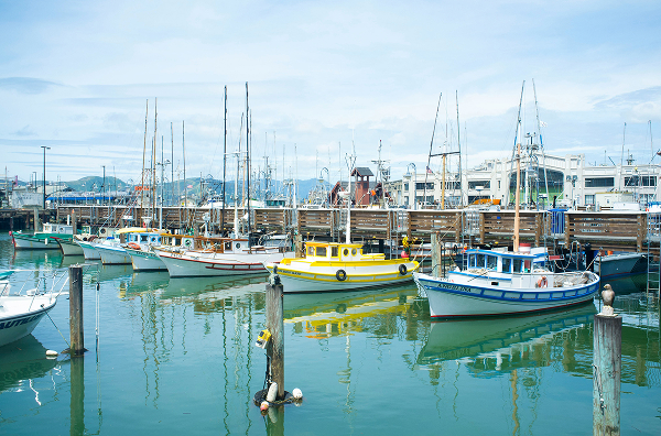 Web Design Donegal fishing
